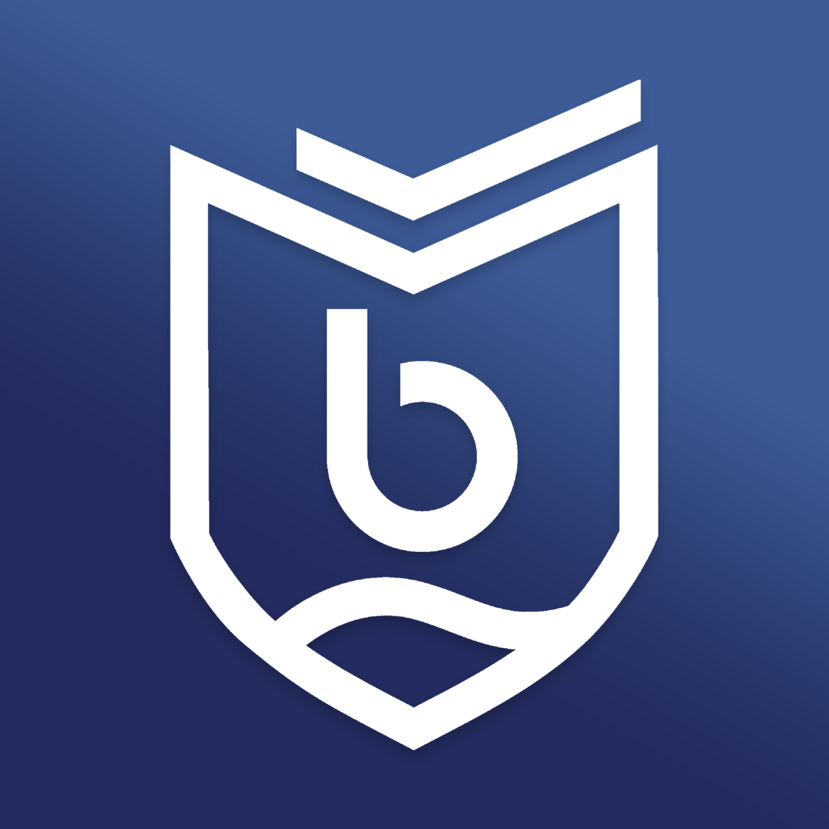 protectborrowers.org